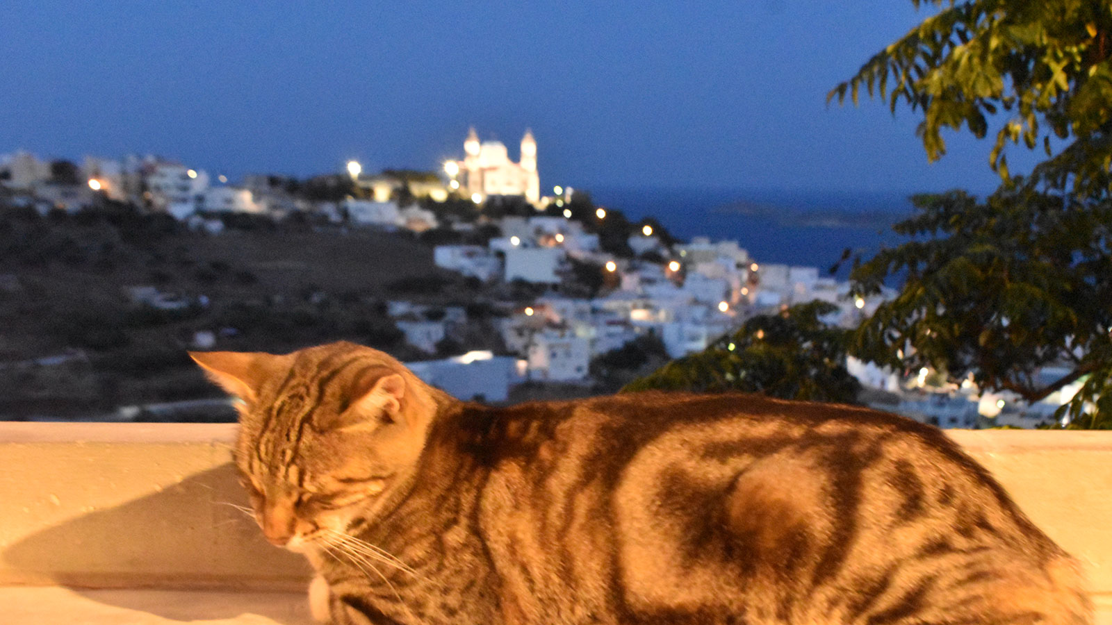 Syros coastline and Aegean light — best time of year to visit the island